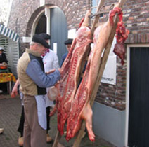 slachtvisie