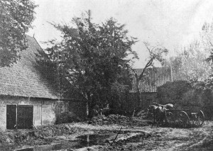 erven_006_erve Borgerink 02