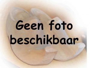 Geen foto beschikbaar 2